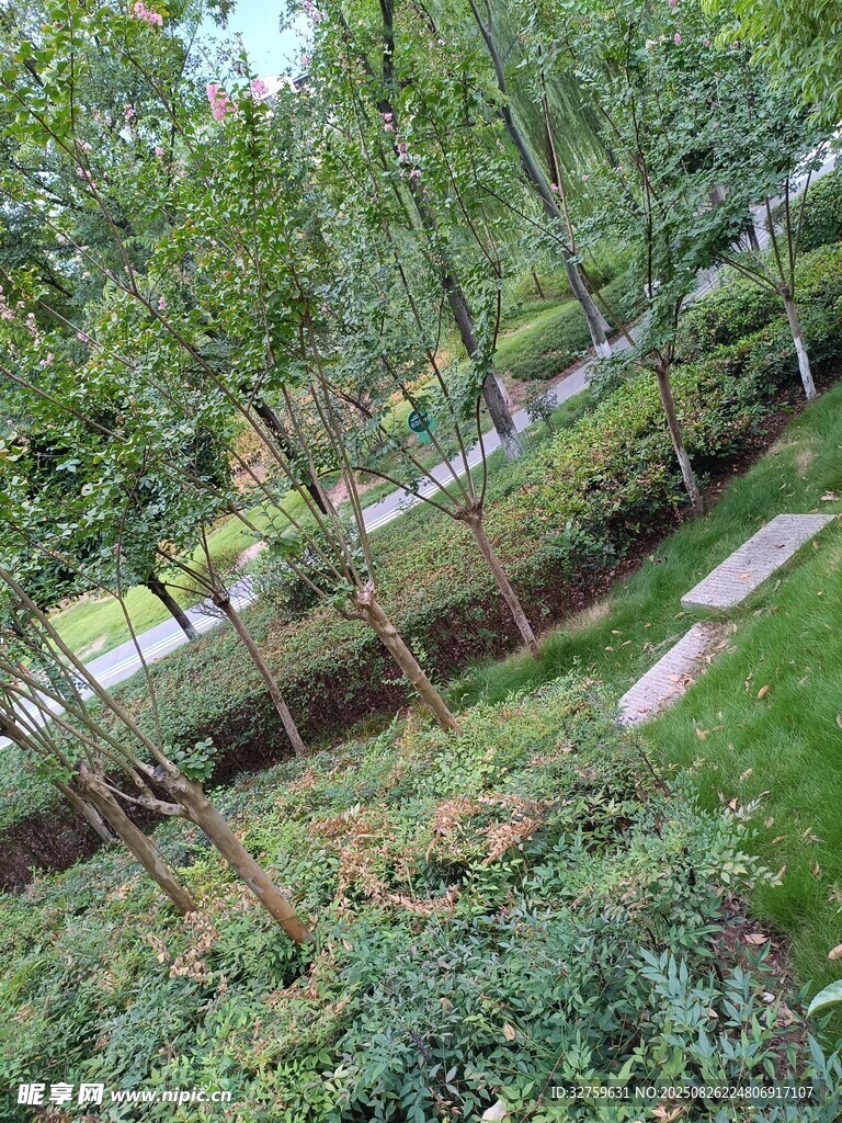 城市中的綠意景觀