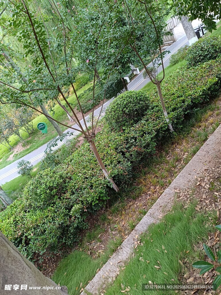 戶外綠植景觀