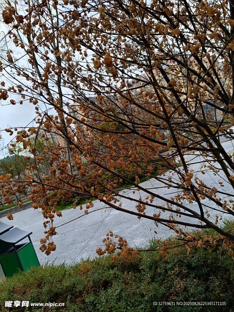 湖畔秋景 