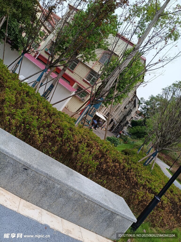 小區(qū)內(nèi)的綠植景觀一角