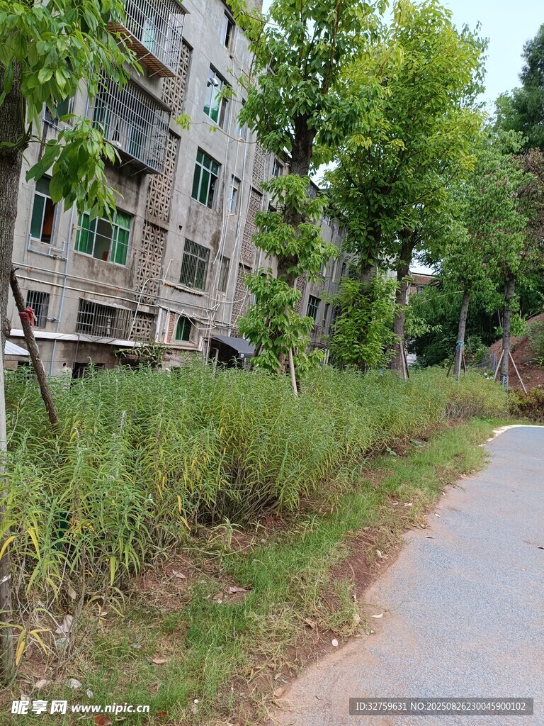 城郊小路旁的老舊居民樓