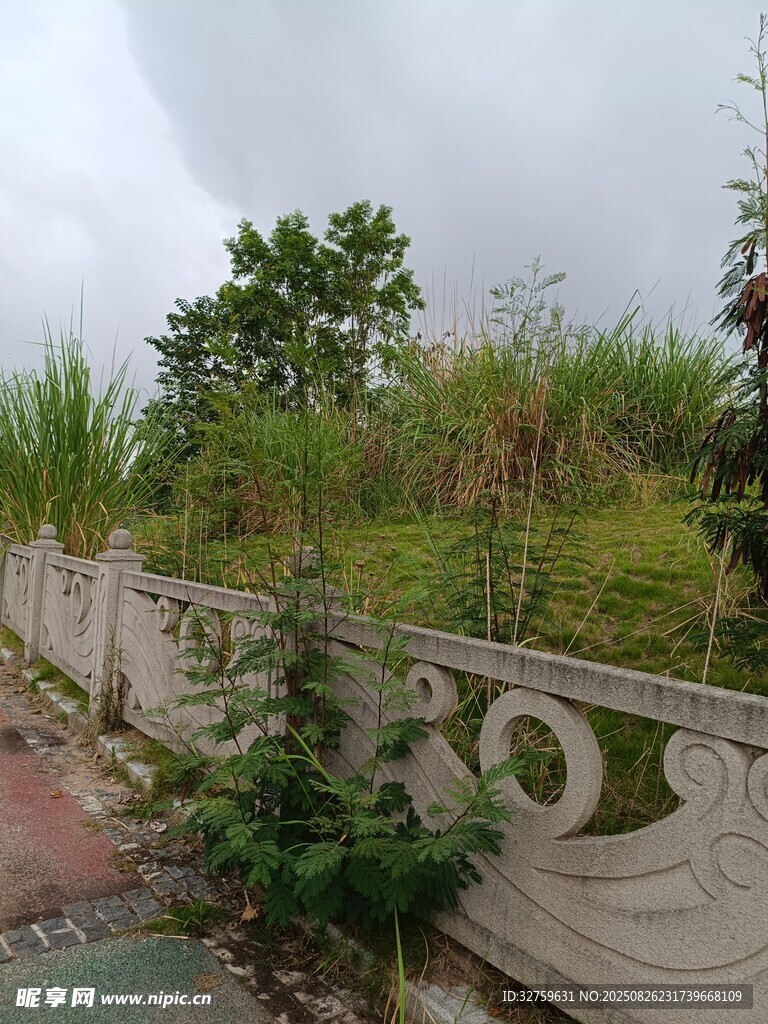 屋頂綠植景觀