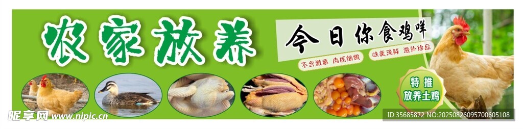 土雞土鴨