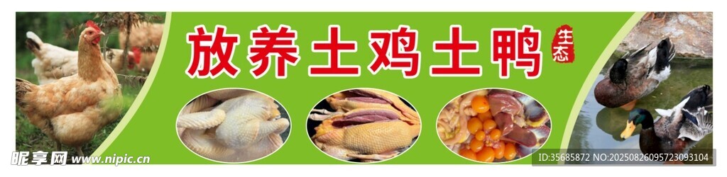 放養(yǎng)土雞土鴨土鵝