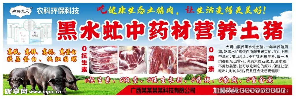 養(yǎng)殖土豬招牌海報