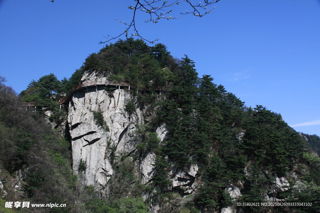 峻峭山峰覆綠植