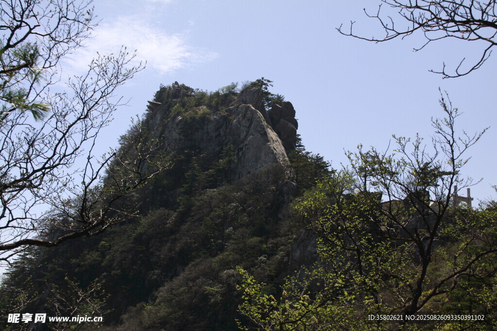 巍峨山峰隱于林間