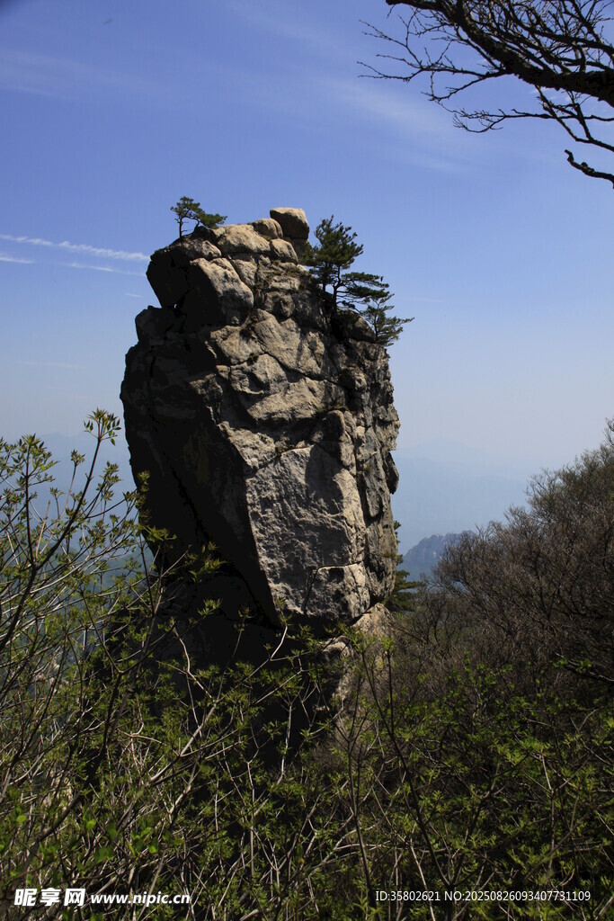 孤峰挺立山林間