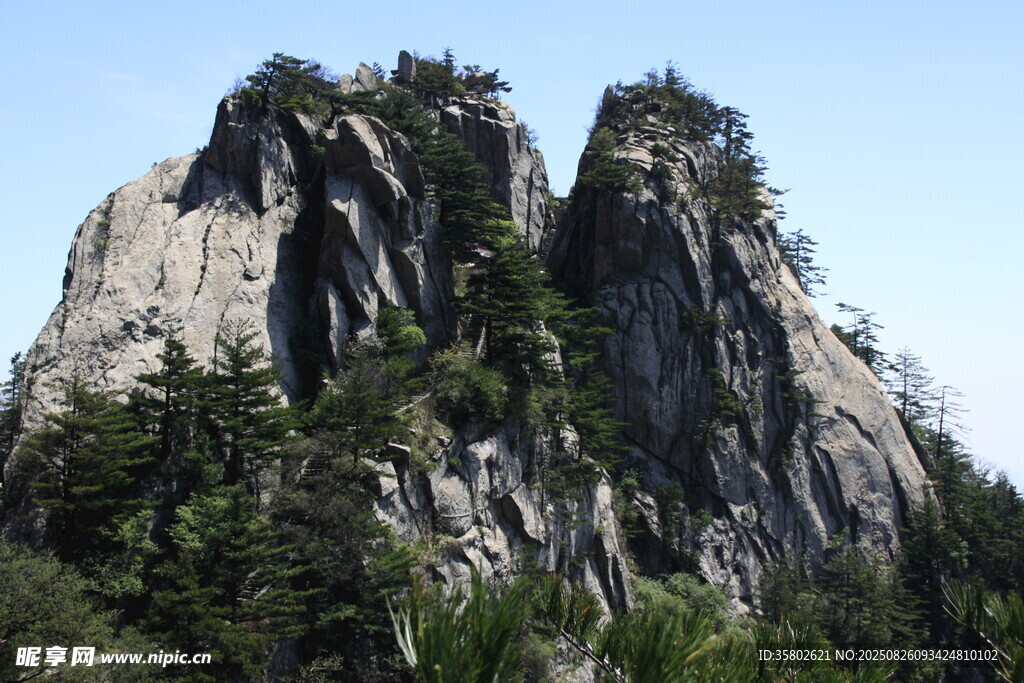 巍峨高山和植被覆蓋的峰巒