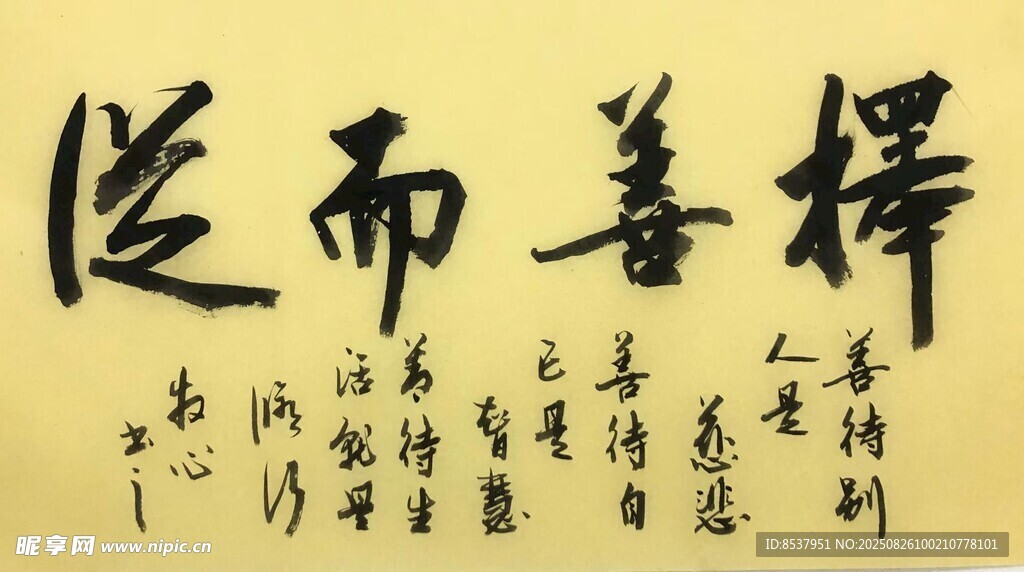 擇善而從 楊克東書法作品