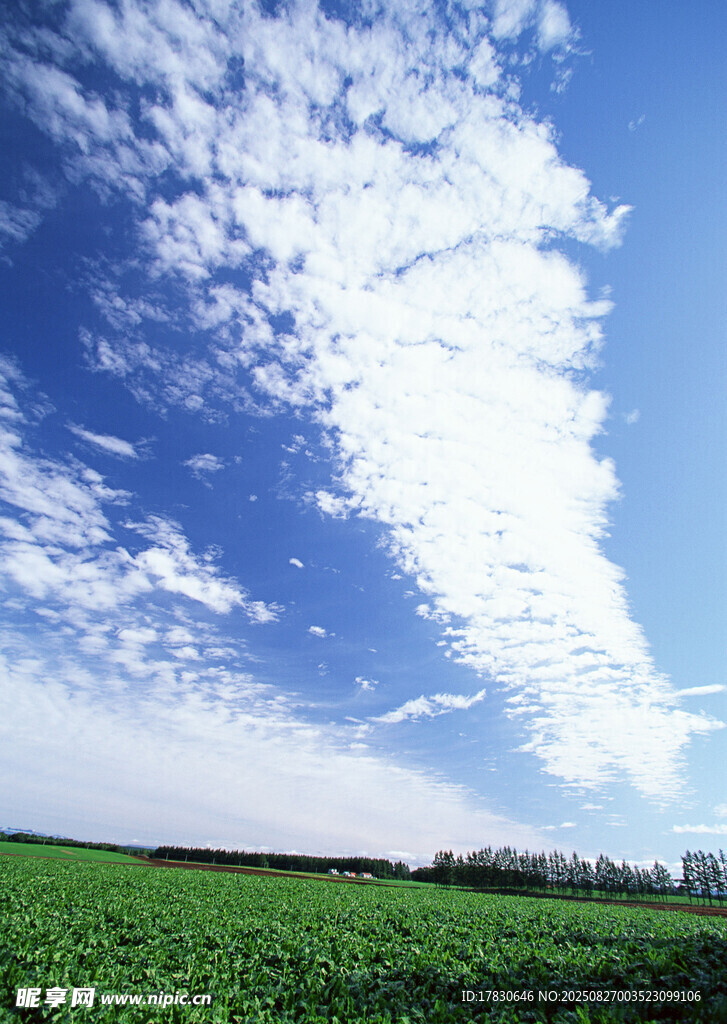 藍天綠野田園風光美景