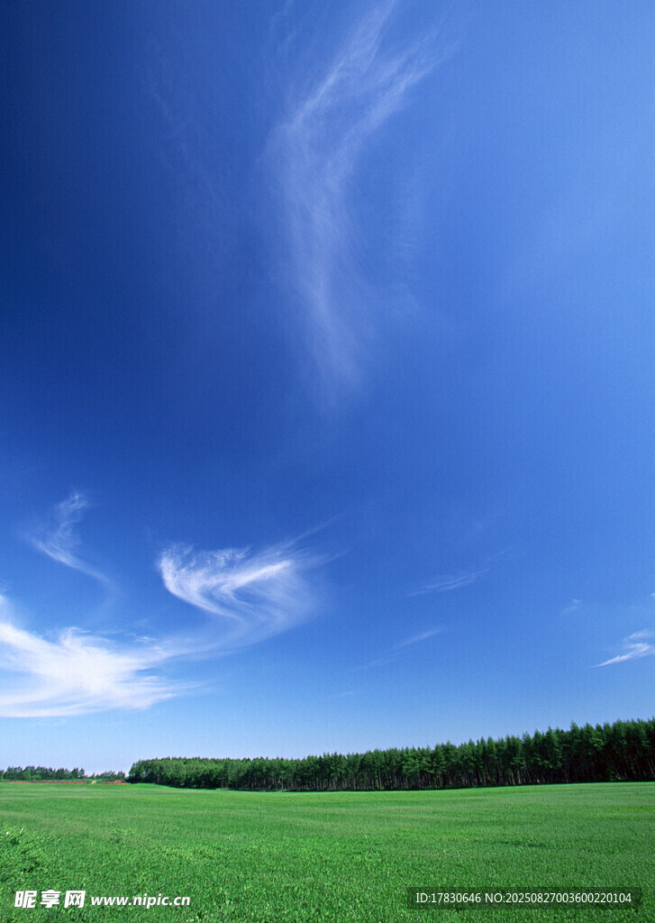 廣闊綠野上的蔚藍天空