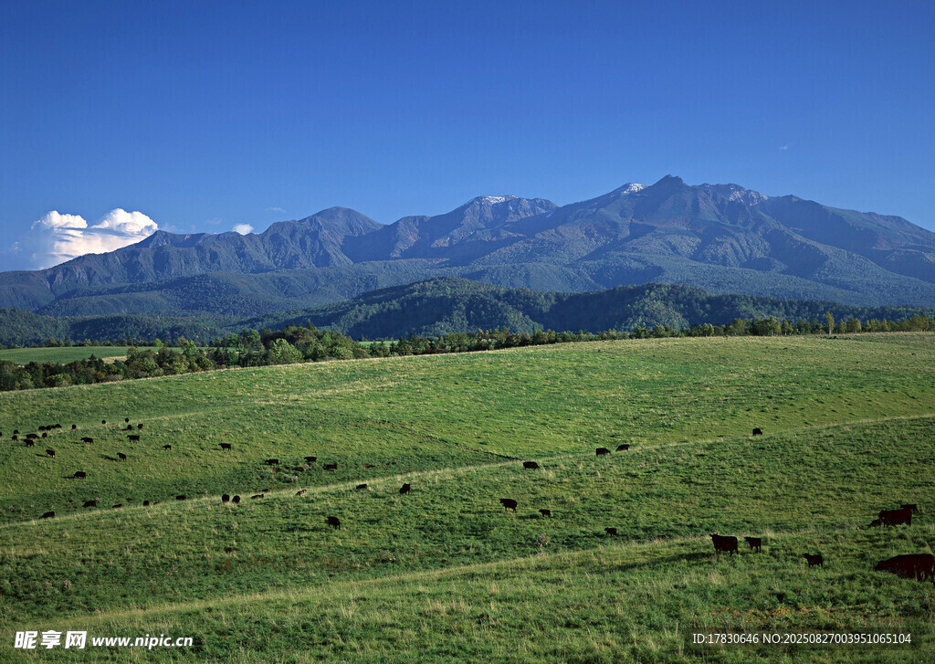 廣袤草原與遠(yuǎn)處山巒美景
