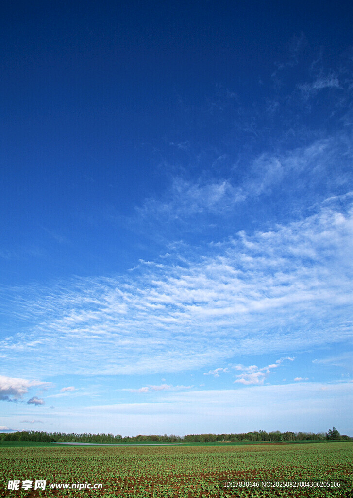 廣闊田野上的藍天美景