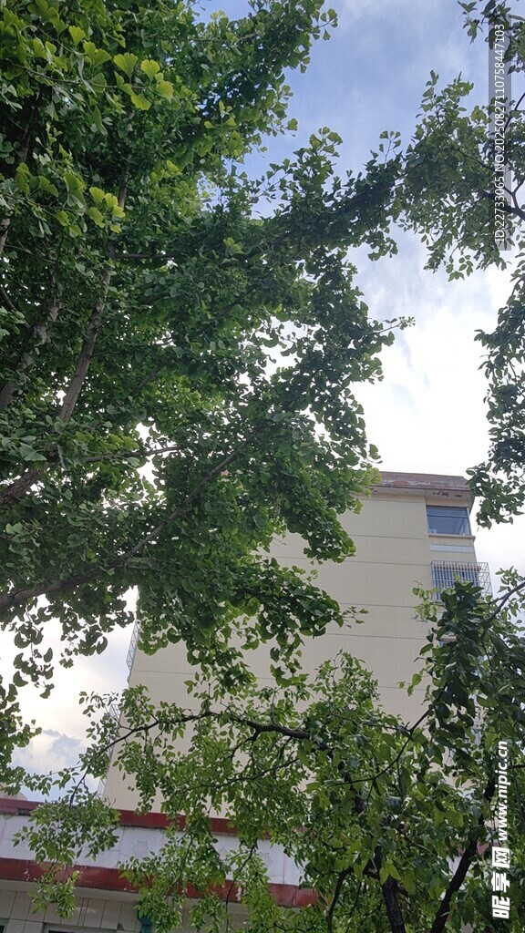 綠葉掩映下的建筑一角