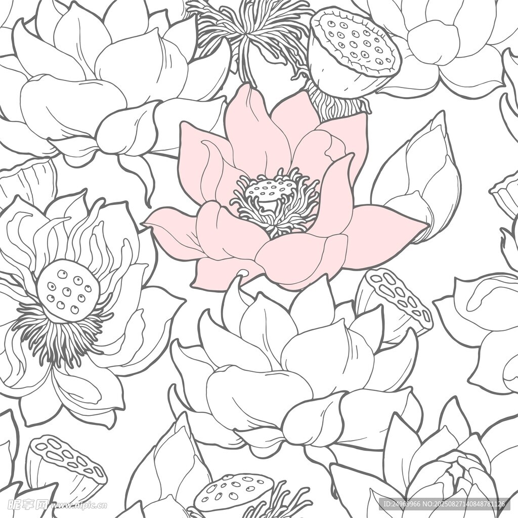 粉色荷花點(diǎn)綴黑白花卉圖案