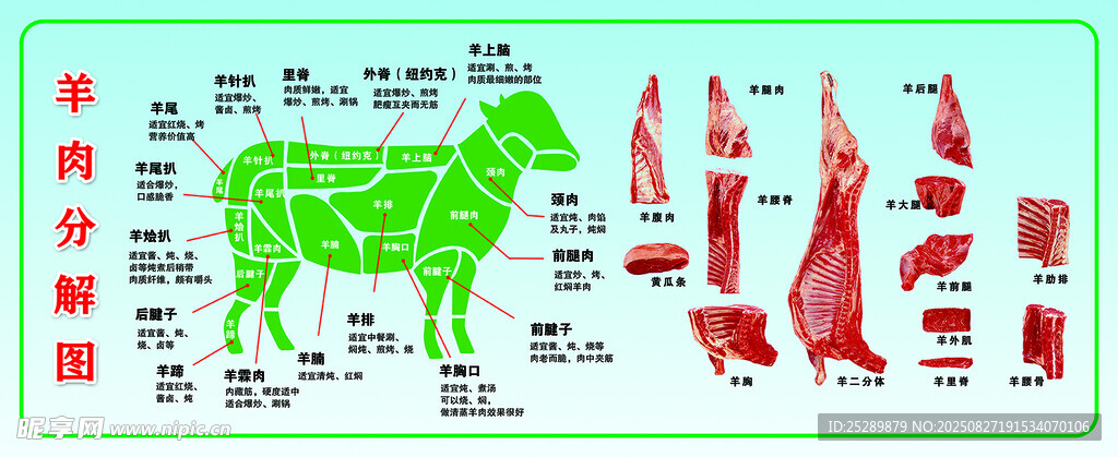 羊肉分割圖