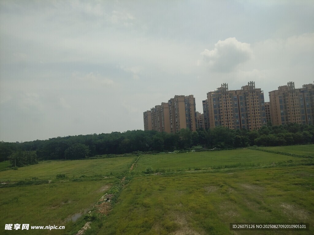 城郊草地與遠處的高層住宅區(qū)