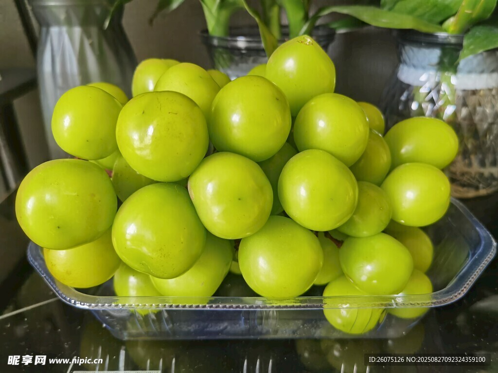 新鮮青提擺放在透明容器中