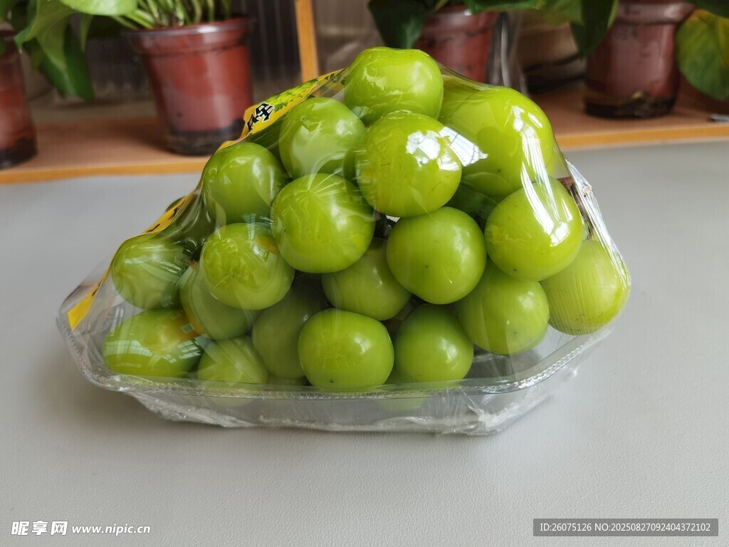 一盤保鮮膜包裹的新鮮青提