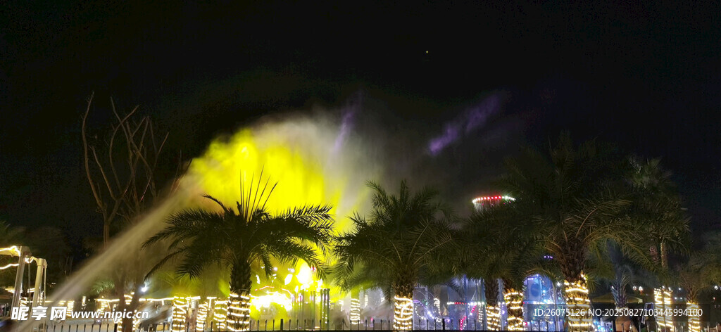 璀璨噴泉夜景