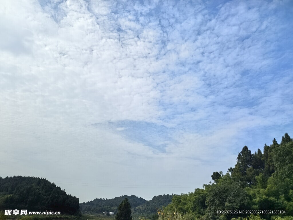 藍(lán)天白云下的蔥郁山林