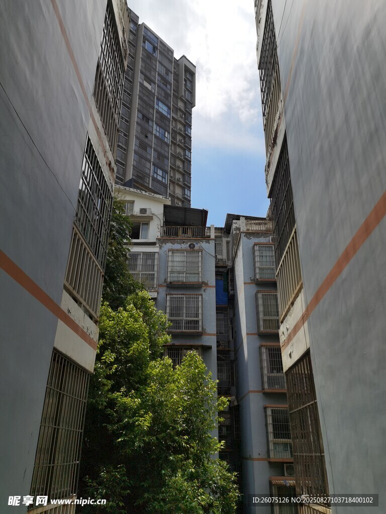 狹窄樓間的綠意景象