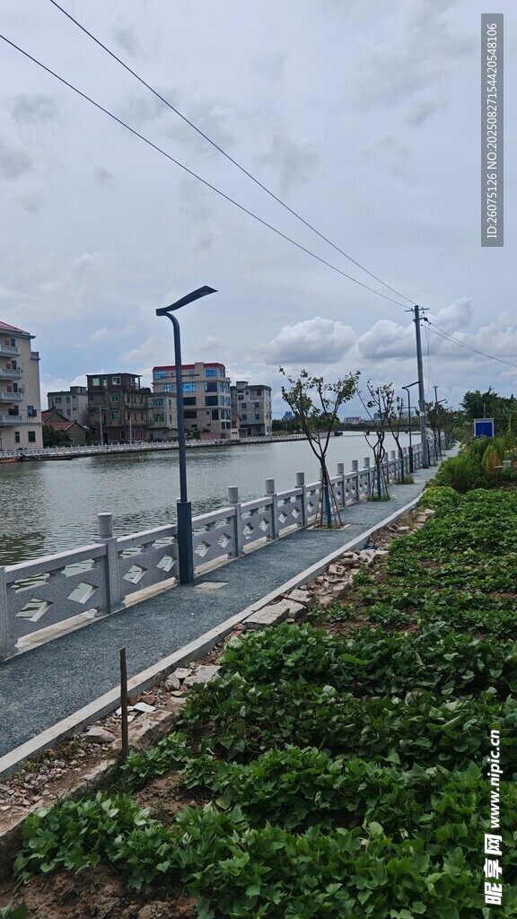 河邊步道與綠植風景