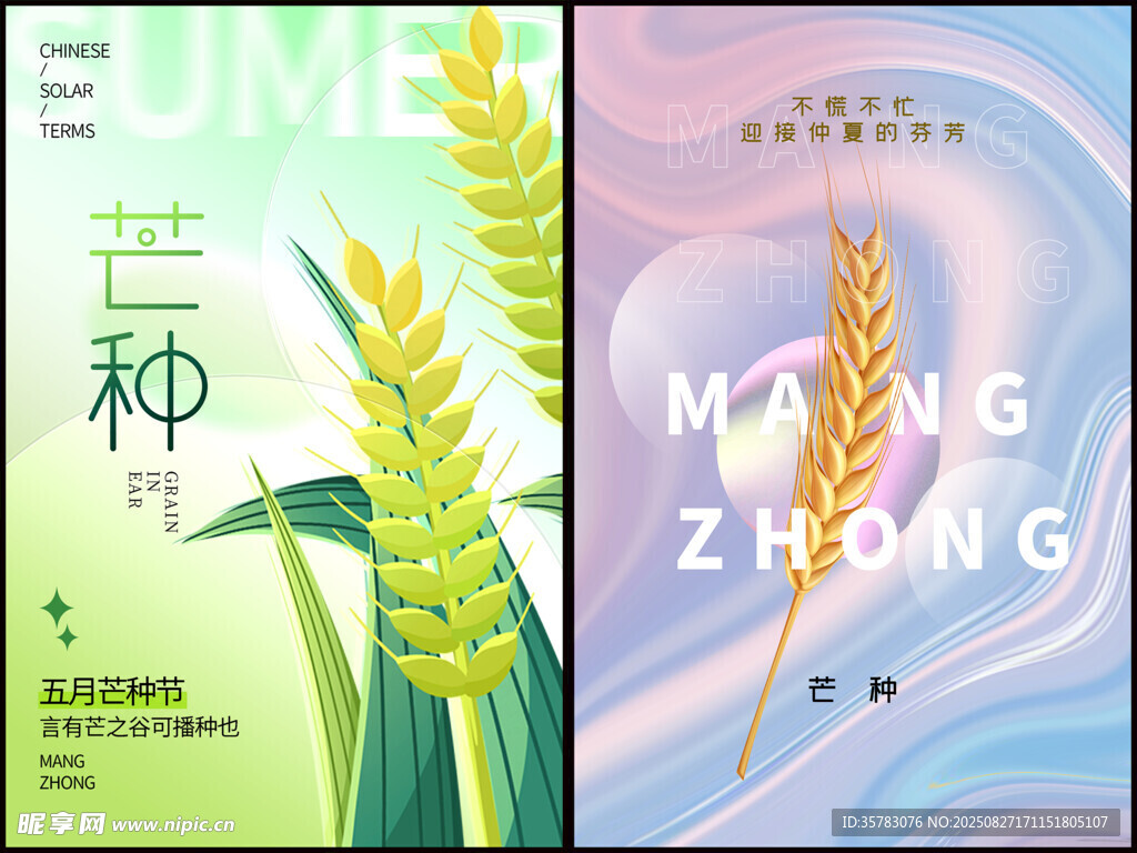 芒種海報(bào)