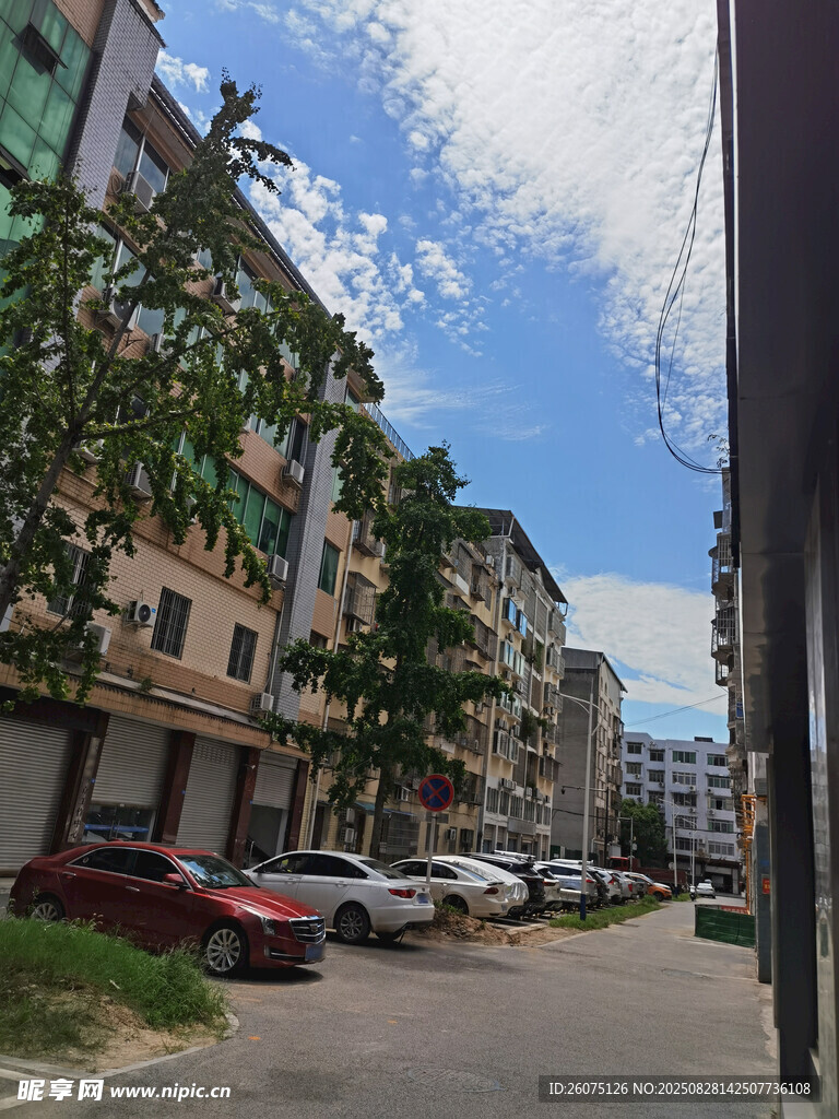 城市巷道與整齊停放的車輛