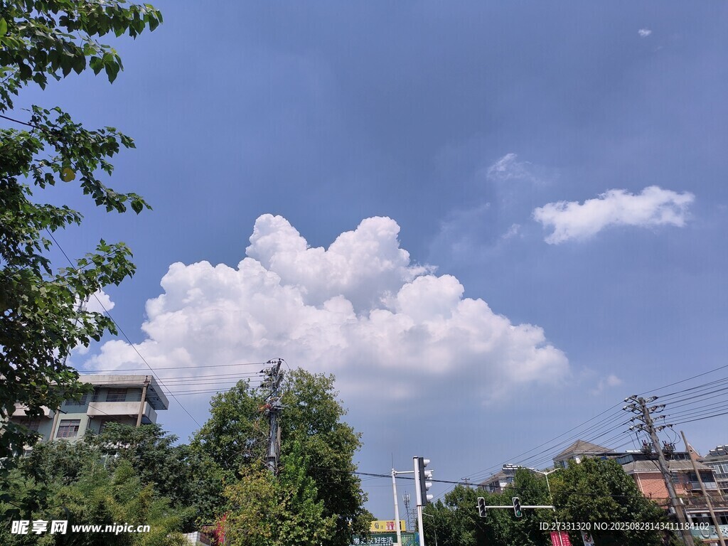 藍天白云下的綠樹景致