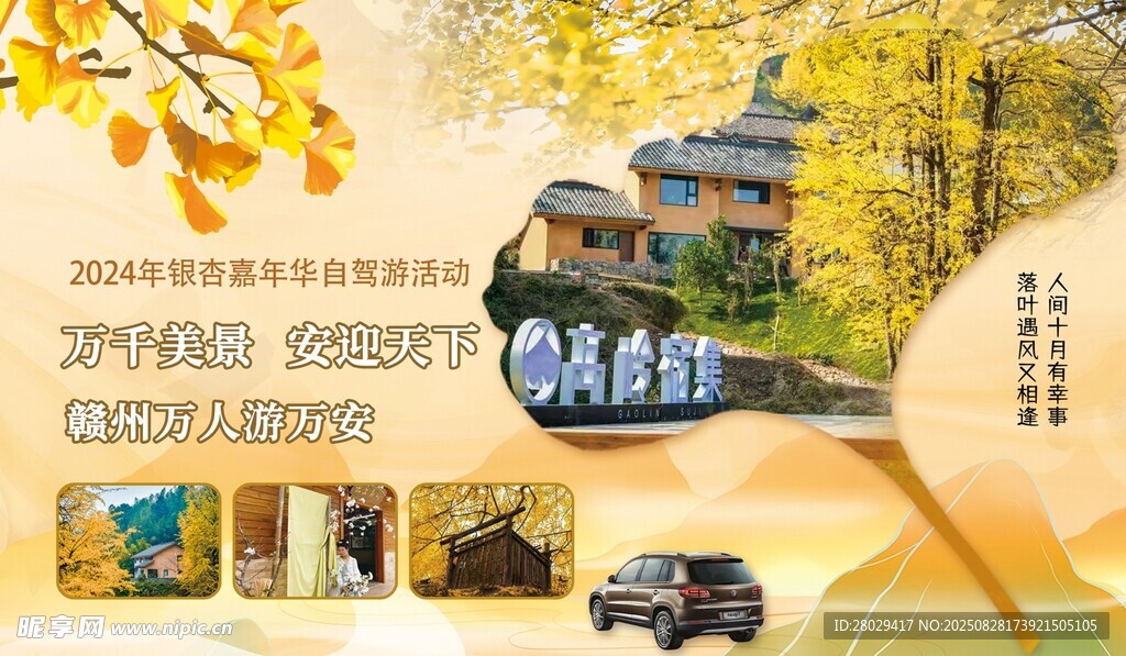 自駕游 旅游  杏葉
