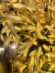 錦鯉魚(yú)