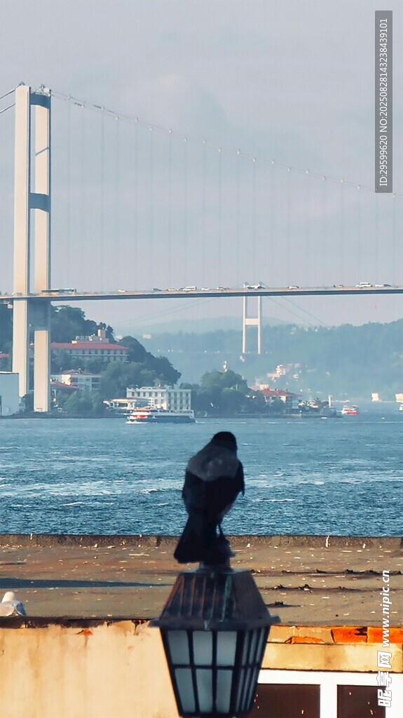 海邊路燈與遠處跨海大橋