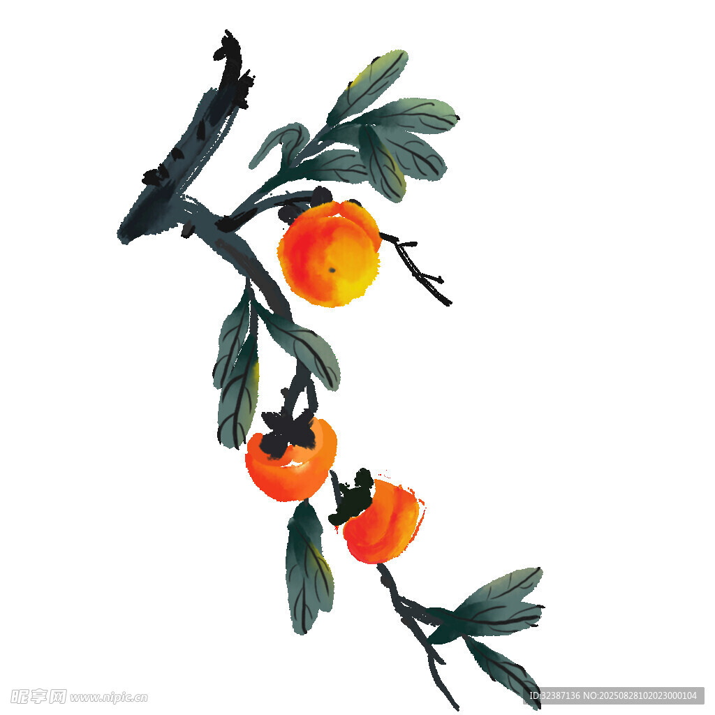 水墨風(fēng)枝頭柿子繪畫(huà)