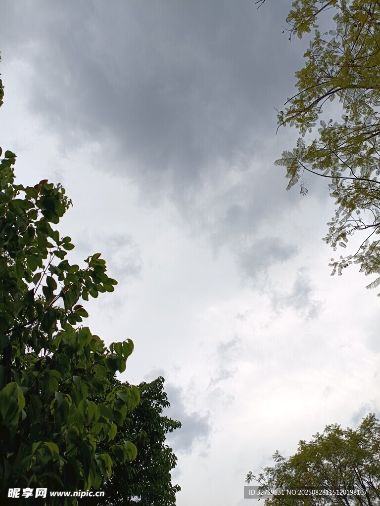 陰云下的綠樹(shù)景觀