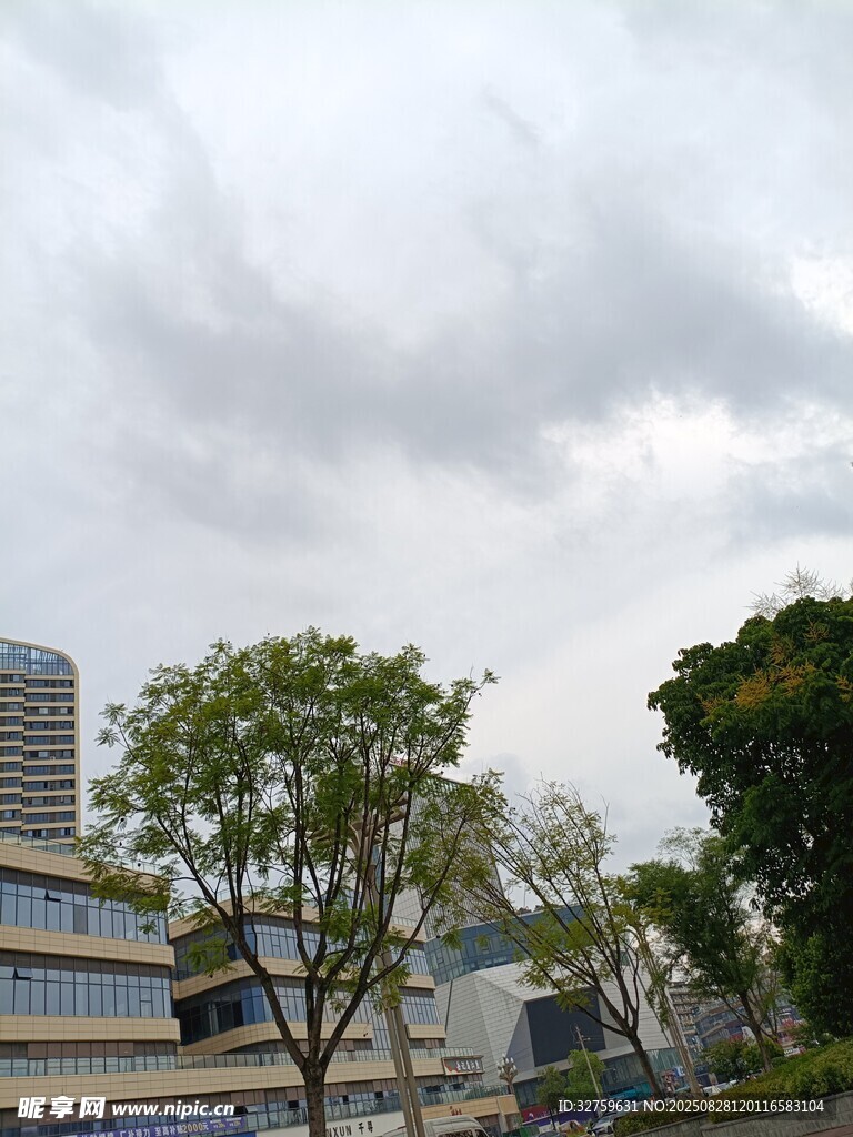 城市天空下的綠樹與建筑