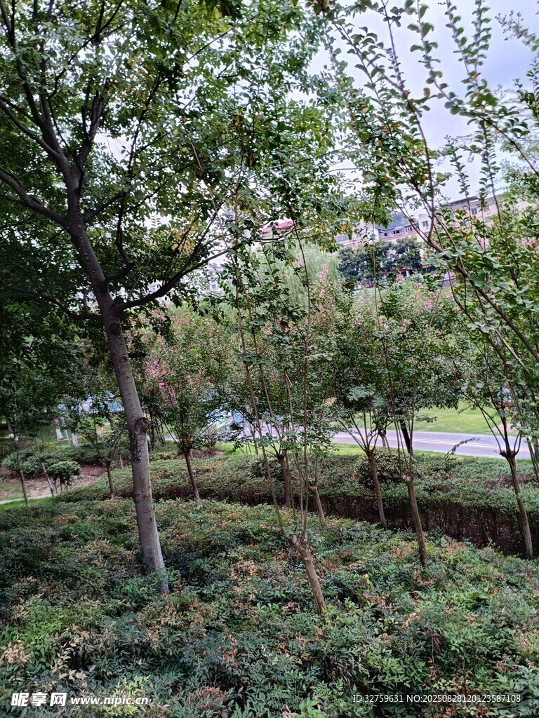 城市中的綠意盎然景觀