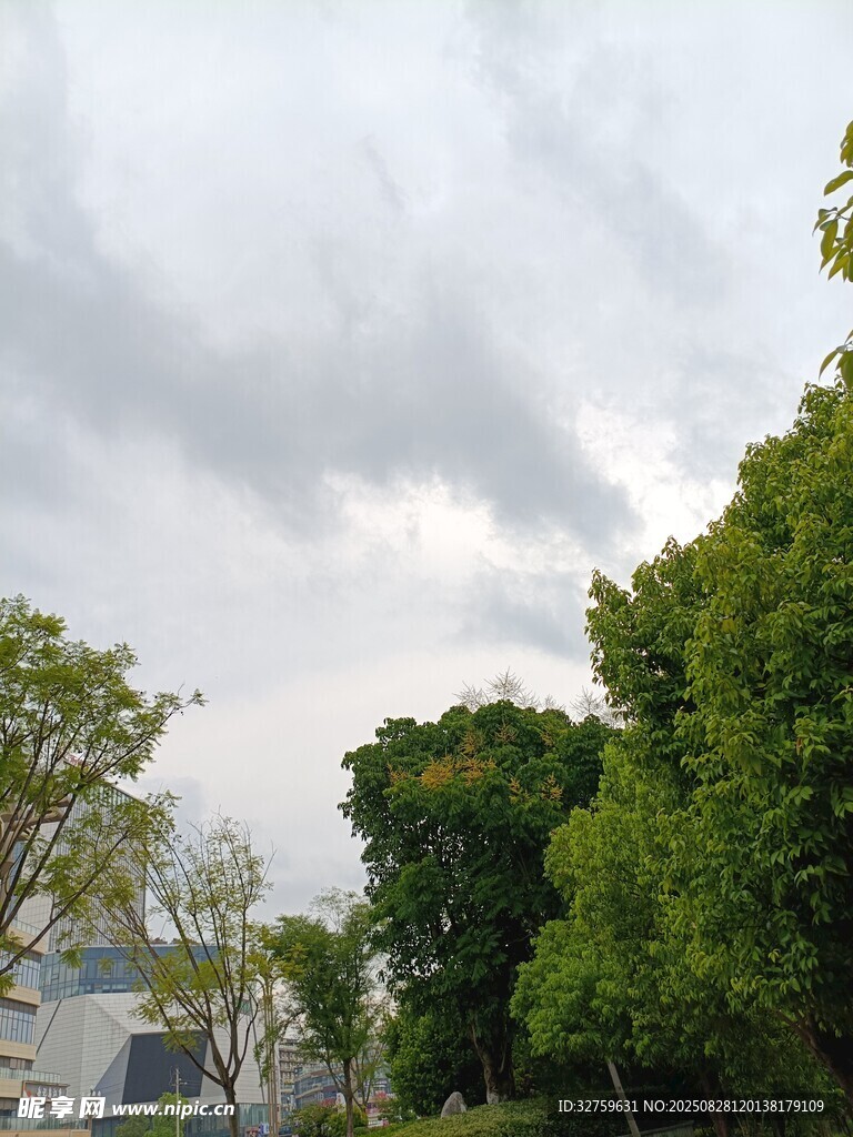 綠樹成蔭的戶外景致
