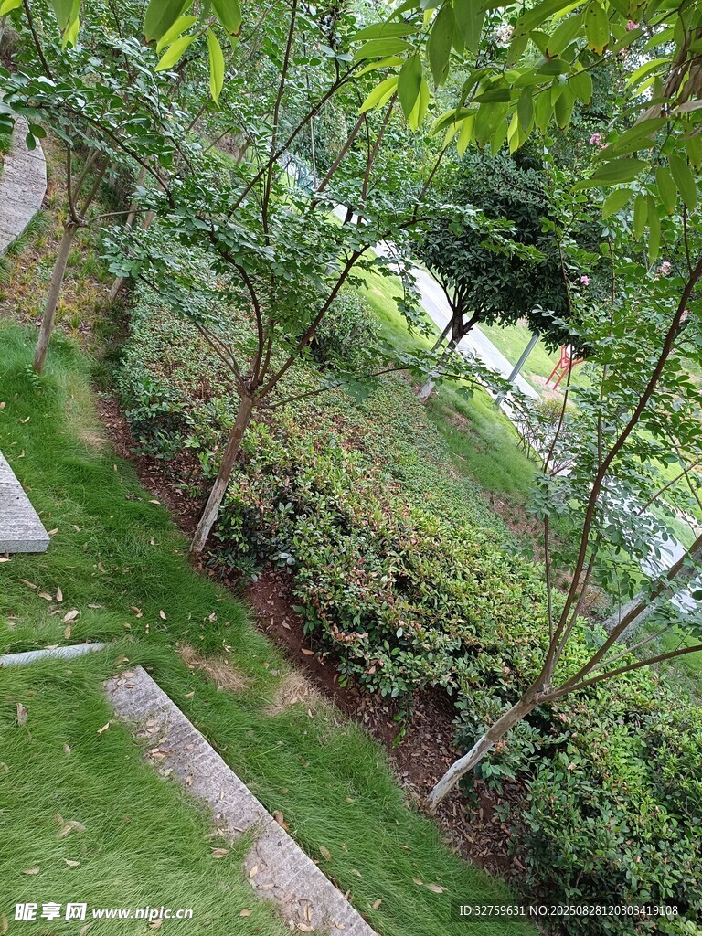 綠意盎然的戶外園林景觀