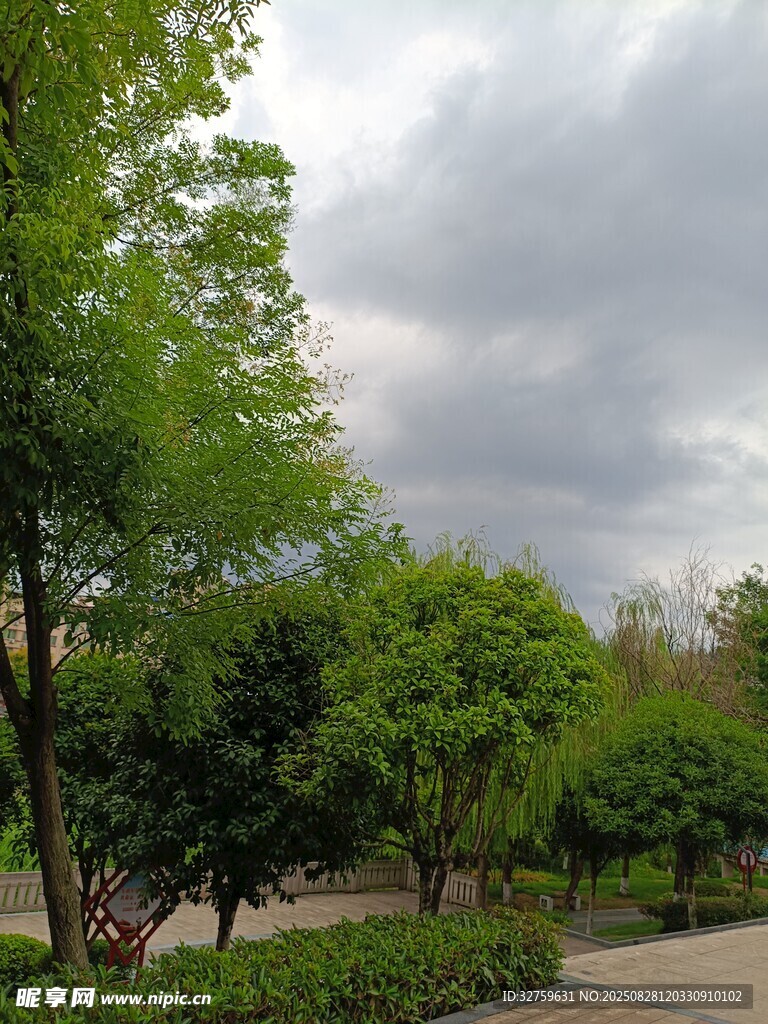 綠樹成蔭的公園景致