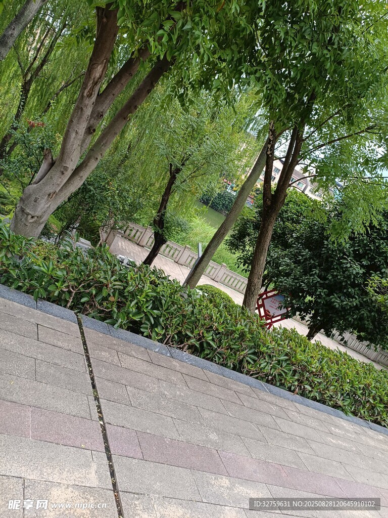 城市林蔭下的靜謐步道