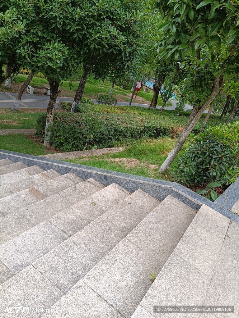 公園石階旁的綠意景致