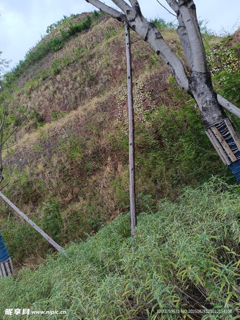 山坡上的機(jī)械設(shè)備