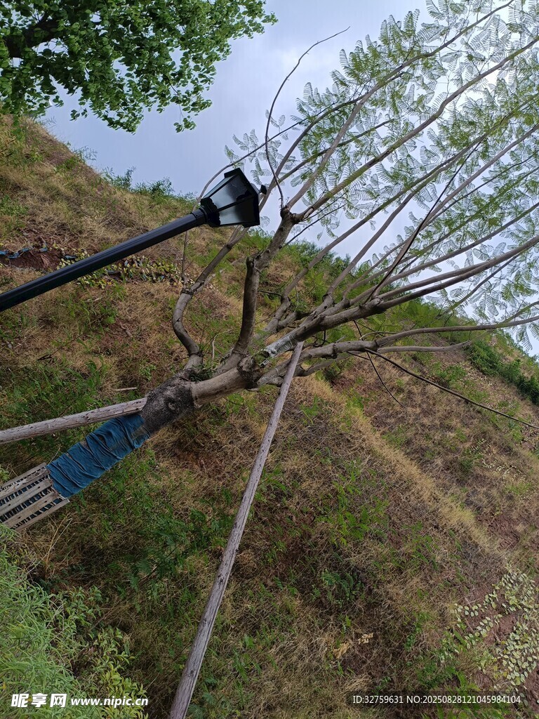 山坡上的繩索作業(yè)場(chǎng)景