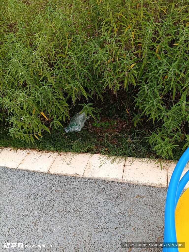 路邊草叢中的小動物
