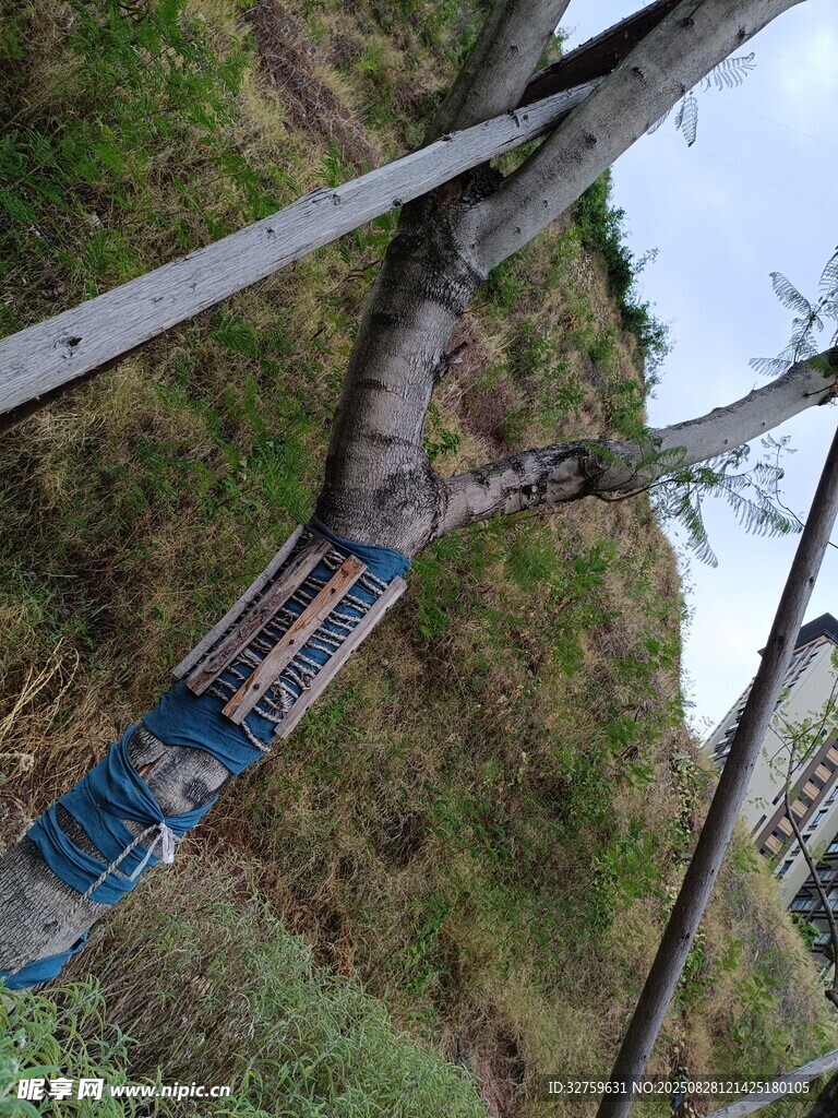 高空作業(yè)中的藍(lán)色繩索
