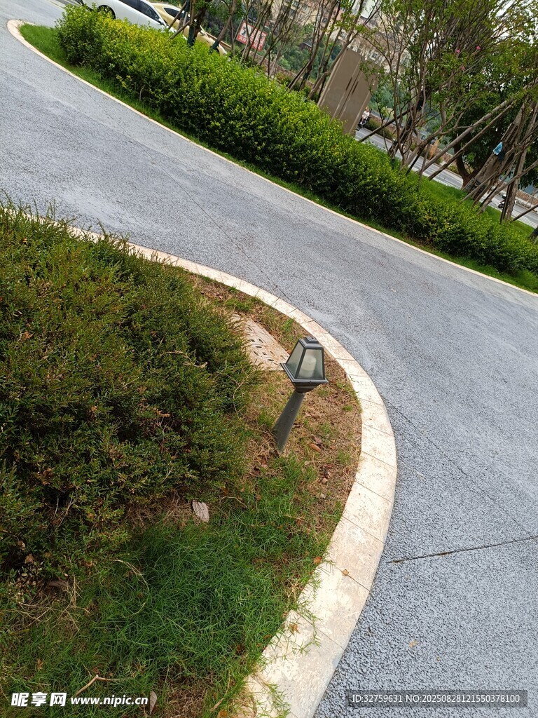 彎曲小徑旁的綠植景觀