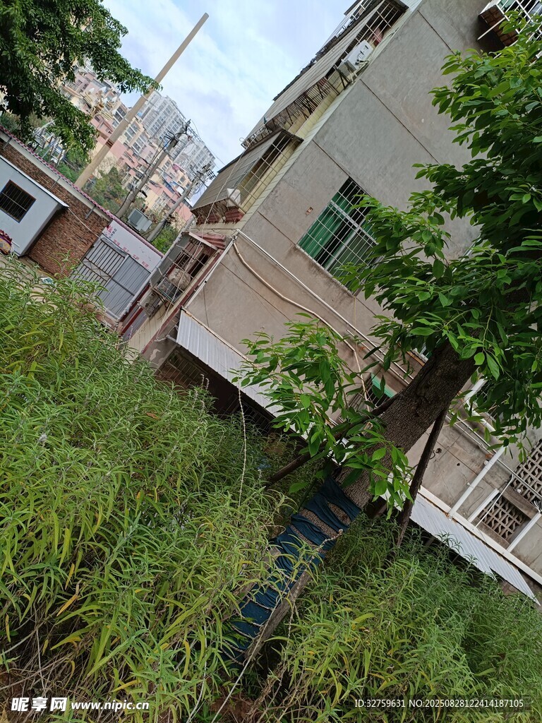 老舊樓房旁的綠植景觀