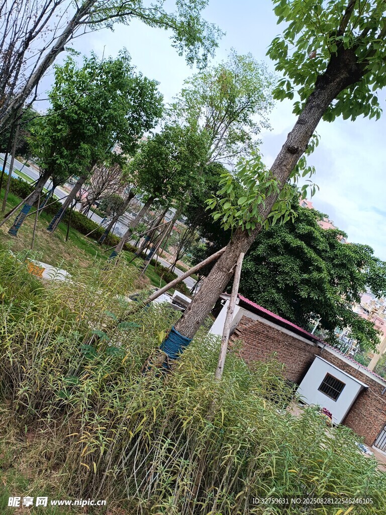 戶外晾衣場景